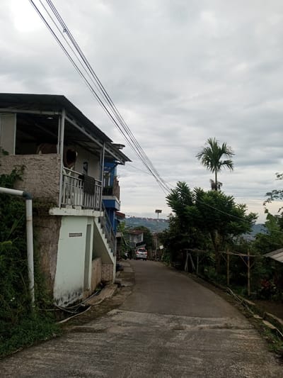 The image depicts a residential street scene within the city of Hasanparthy mandal, India, under an overcast sky. The view is angled uphill, showing a paved concrete and asphalt road that gently curves to the right into the distance.

On the left, a multi-story building is prominent. Its lower section features a light-colored, possibly off-white or pale green, facade with a visible external concrete staircase leading to an upper-level balcony. The balcony has a metal railing and a corrugated metal roof supported by posts. On this balcony, a large, brown, cylindrical object and a smaller, lighter-colored, rounded object are visible. A white PVC pipe runs vertically along the left exterior wall, partially obscured by green vegetation at the base. Overhead, multiple black utility lines traverse diagonally across the frame from left to right.

The right side of the road is bordered by dense green foliage and various trees, including a tall, slender palm tree in the mid-ground. Further down the road, simple wooden structures are visible among the vegetation. In the background, beyond the immediate residential area, the landscape appears hilly with scattered buildings and infrastructure. A white SUV is observed parked or slowly moving uphill on the distant section of the road. Red and white banners or flags are strung between poles on a distant hillside. A structure resembling a small solar panel mounted on a pole is visible above the trees in the mid-distance. There are no people visible in the immediate foreground or engaging in any explicit actions or interactions.