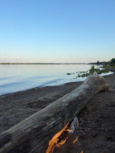 The image depicts a serene natural scene on the bank of a wide river, likely the Volga River, in Gurino, Russia. In the foreground, a large, weathered log lies on a beach composed of sand and dark pebbles. The log is oriented diagonally, leading the viewer's eye towards the expansive water. A piece of white, crumpled plastic debris is visible near the base of the log.
The river stretches across the middle ground, its surface reflecting the clear, pale blue sky. Gentle ripples disturb the water's calm. In the distance, along the far bank, a line of green trees forms a lush treeline. Small boats are scattered on the water, some appearing to be a distance from the shore. The sky above is a vast expanse of gradient blue, transitioning from a lighter hue near the horizon to a deeper shade overhead, with a single, wispy white cloud on the left. The overall atmosphere is one of quiet tranquility, bathed in the soft light of what appears to be late afternoon or early evening.