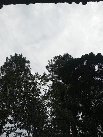The scene, located in Kotakonda, India, depicts an upward-facing view dominated by an overcast, light gray sky with diffuse cloud cover. A dark, irregularly textured horizontal element, consistent with an overhang or roofline, occupies the top approximately 5% of the frame. Below the sky, dense tree foliage is visible, primarily silhouetted in dark green against the brighter background. Two main tree canopies are prominent: one to the left and another to the right, separated by a gap revealing more sky and lighter foliage further back. No individuals, specific objects beyond natural elements, discernible actions, or interactions are present. The environment is characterized by natural vegetation and a cloudy atmospheric condition.