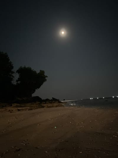 This is a night-time, landscape-oriented photograph taken on a beach in Legonipah, Indonesia. The primary subjects are the moon, the ocean, the beach, and some vegetation.
The moon is a prominent, luminous orb in the dark sky, casting a soft glow. To the right of the moon, in the distance, is a line of lights, likely from a town or boats on the water. The ocean stretches across the upper portion of the image, with some gentle waves visible near the shore. The beach occupies the right side of the frame, appearing sandy with scattered stones and debris. A dark silhouette of trees and other vegetation is visible along the edge of the beach, contrasting with the lighter sand and sky.
The overall mood of the image is serene and tranquil, characteristic of a quiet night by the sea. The time of day is clearly night due to the presence of the moon and the darkness. The location cues, such as the beach and the ocean, along with the provided context of Legonipah, Indonesia, help to establish the setting. There is no visible text in the image.