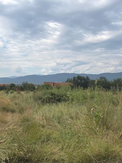 The image depicts a rural landscape with a focus on overgrown vegetation in the foreground and middle ground. Several dilapidated buildings with red tile roofs are visible amidst dense green foliage and trees. In the background, a series of undulating, dark blue mountains are silhouetted against a cloudy sky. The scene appears to be located in the vicinity of Verinsko, Bulgaria, given the context provided. The overall impression is one of abandonment and nature reclaiming man-made structures. There are no people or animals visible in the image. The environment is characterized by tall grass, bushes, trees, and the distant mountain range.