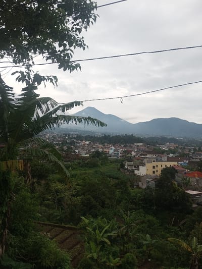 An elevated view captures a mixed landscape in Bhupalpally, India, under an overcast sky. The immediate foreground on the left is dominated by dark green foliage from trees, including distinct broad-leaved plants resembling banana trees. Three dark utility lines extend horizontally across the upper portion of the frame. Below the foreground foliage, a steep, verdant hillside descends, featuring patches of cultivated land visible towards the lower left. In the midground, a sprawling urban settlement is visible, consisting of numerous low-rise buildings with diverse roof colors and styles. The background is defined by two prominent, dark green mountains, with the taller peak on the left displaying slight atmospheric haze or low cloud cover. No individuals, specific actions, or interactions are visible in the scene.