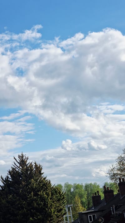 The image presents a bright, partially cloudy sky above a neighborhood in Lincoln, United Kingdom. The lower right corner is dominated by the dark green foliage of a large conifer tree. Above the tree, a row of deciduous trees with lighter green leaves lines the view, partially obscuring a white picket fence. The edge of a building is visible in the upper right corner, constructed of dark brick with multiple chimney stacks. Windows are also visible. The sky occupies the majority of the frame, filled with large, billowy cumulus clouds transitioning to thinner, cirrus-like formations. The blue sky is visible through the cloud cover. The scene appears to be captured on a sunny day. The photo has been rotated 90 degrees counterclockwise.