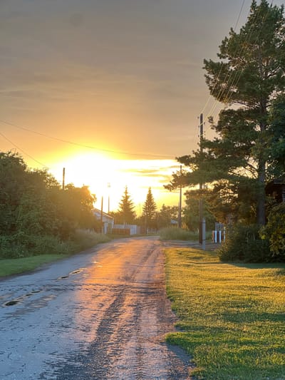 The image shows a rural road at sunset in Pivkino, Russia. The sun, low on the horizon, casts a warm, golden light across the scene, illuminating the wet asphalt of the road and the tall grass bordering it. The road appears to be made of gravel and asphalt, with puddles reflecting the sunset's glow. Power lines stretch across the frame, supported by wooden poles, and are draped with trees. In the distance, small houses and other structures are visible, nestled among lush green trees. The sky is a soft blend of orange and yellow, with streaks of clouds adding texture. The overall mood is peaceful and serene, capturing the quiet beauty of a rural evening. There is no visible text in the image.
