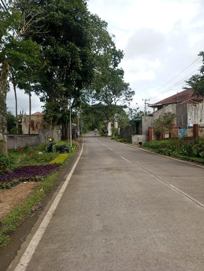 A straight, gray paved road stretches into the distance, bordered by lush green trees and vegetation on either side. On the left, vibrant purple and yellow flowers are planted in neat rows. Buildings and homes peek through the foliage, featuring concrete walls and terracotta roofs. A lone motorcycle is parked along the roadside. The sky is overcast, casting a soft light over the scene. A utility pole with wires stands on the right side of the road, adding to the residential feel of the area.