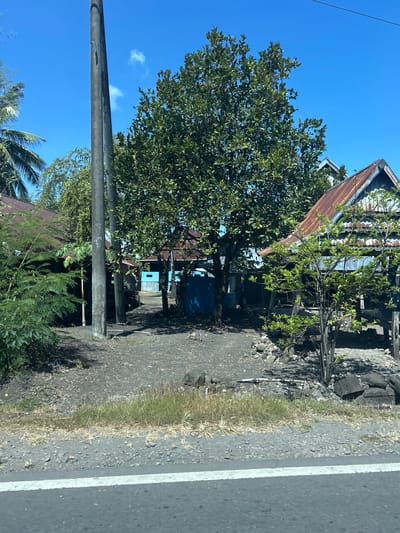 A roadside view of a rural settlement in Jeneponto, Indonesia, features a dark grey asphalt road with a white stripe in the foreground. Beyond the road, a gravelly and dusty area is visible, dotted with dry grass and scattered stones. Several structures, likely houses, are present, characterized by their corrugated metal roofs, some of which appear rusted. One prominent structure on the right is partially open, supported by wooden posts, with a green leafy tree growing in front of it. A large, leafy tree with dark green foliage stands centrally, casting shadows on the ground. A tall, grey utility pole is positioned near the center of the scene. Behind the pole and trees, a bright blue building with a small square window is visible, along with other buildings with similar corrugated metal roofing. Palm trees are discernible in the background, suggesting a tropical environment. The sky is clear and blue with a few scattered white clouds. The overall impression is of a humble, possibly arid, rural landscape under bright sunlight.