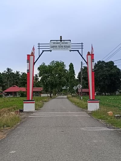 The image depicts an entrance gate to Gampong Teupin Peuraho, located in Manyang Cut, Pidie Jaya Regency, Aceh, Indonesia. The gate is an archway with two red and white pillars on either side. A sign on the arch reads "SELAMAT DATANG di GAMPONG TEUPIN PEURAH0" with "Kec. Meureudu-Kab. Pidie Jaya" below it. Indonesian flags are mounted atop the pillars. The road leading through the gate is paved and lined with grass and trees. On the left side of the road, there are palm trees and a building with a red roof. On the right, there are more trees and a field of green plants. The sky is overcast.