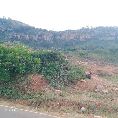 A landscape photograph features a rocky cliff face in the background, topped with trees. In the middle ground, dense green shrubs with yellow flowers fill the left side, transitioning to sparse vegetation and red soil on the right. Rocks and scattered debris dot the ground. A paved road is visible in the lower portion of the image. The sky appears washed out, casting a soft light over the scene.