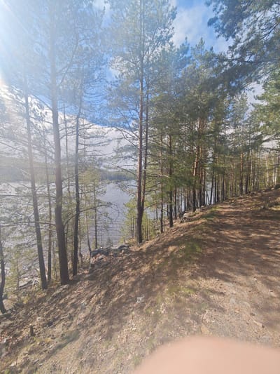 The image depicts a lakeside scene in Kachkanar, Russia. A dirt path runs along a slope, bordered by a line of pine trees on the right and a lake on the left. Sunlight filters through the trees. The lake appears rippled. The sky is partially obscured by the trees but shows patches of blue with some cloud cover. The ground is covered with dirt, leaves, and pine needles. A small finger, or part of a hand, can be seen at the bottom of the image.