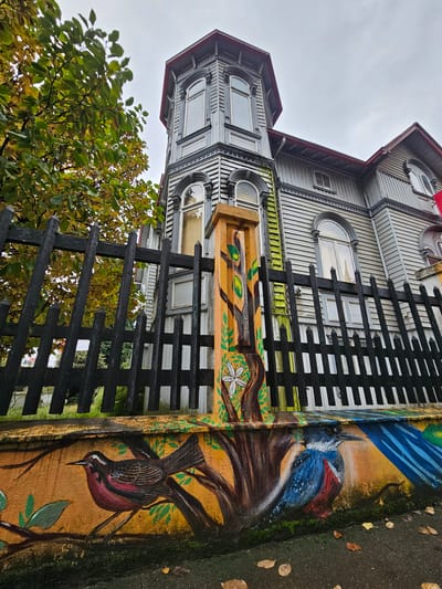 The image shows a multi-story, wooden building in Osorno, Chile, viewed from below at an angle. The building has a grey exterior with several arched windows. A black wooden fence runs along the front of the property, partially obscuring the view of the building. To the right of the fence is a concrete wall with a mural depicting two birds on branches. The lower bird is red and brown, while the upper bird is blue and white. Some autumn leaves are scattered on the ground next to the mural. A tree with green and yellow leaves is visible to the left of the fence. The sky is overcast.