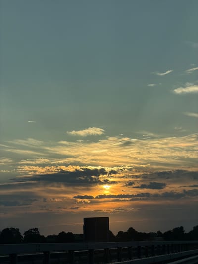 This is a vertical, medium-distance shot of a sunset over a silhouetted treeline with a highway guardrail in the foreground. The sky is filled with wispy, multi-colored clouds ranging from pale blue to deep orange and grey. The sun is partially obscured by a dark cloud band, casting a warm glow. In the foreground, a dark, rectangular signpost stands on the right, and a grey metal guardrail runs across the bottom of the frame. The treeline creates a dark, undulating horizon. The scene appears to be captured from a moving vehicle on a highway, suggesting a location along a route in or near Bunde, Germany. There are no people or animals visible in the image.