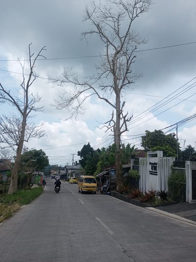 The image shows a paved road in Ban Phouviengnoy, Laos. The road is flanked by trees, some of which are leafless. There are power lines running overhead. A yellow van is parked on the right side of the road, and a motorcycle is driving on the road toward the camera. There is also a building with a sign in the right foreground. The sky is overcast.