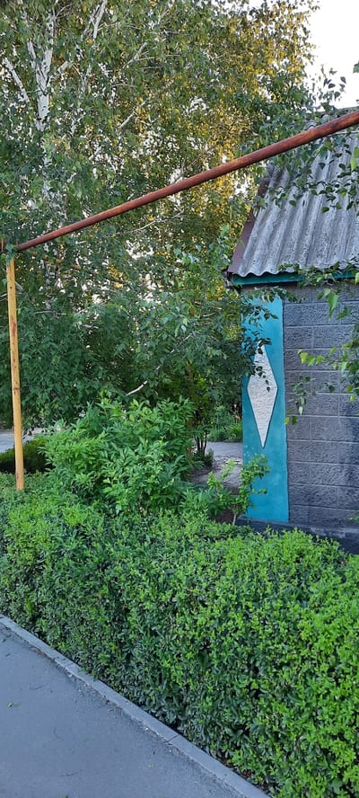 A medium shot captures an outdoor scene featuring a partially visible building and lush greenery. The building has a textured, dark gray stone facade with a turquoise accent strip containing a white diamond shape. A section of its corrugated roof is visible. In front of the building and extending to the left are dense, green bushes, forming a hedge-like barrier. To the left of the bushes, a gray asphalt path or road is visible, bordered by a concrete curb. Behind the bushes, a taller, leafy green plant is present. Further back, a tall tree with white bark and green leaves dominates the upper left portion of the image. A rusty orange horizontal pipe supported by a yellow vertical post runs across the middle of the frame, obscuring parts of the tree and greenery. The environment appears to be a residential or public outdoor area in Shakhty City District, Russia.