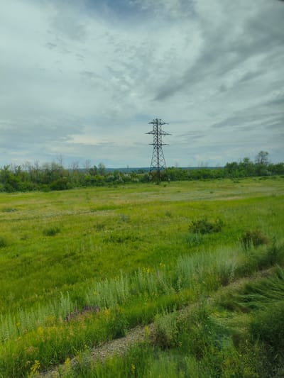 A wide-angle, eye-level shot depicts a rural landscape under a cloudy sky. In the mid-ground, a solitary, dark metal power transmission tower stands tall against the overcast sky, with power lines stretching horizontally from it. The foreground and mid-ground are dominated by a vast expanse of green grass, with scattered patches of wildflowers in yellow and purple. A dirt path with gravel runs diagonally through the lower right portion of the frame. A line of trees, some appearing bare, forms a distant horizon. The overall impression is of an open, undeveloped area. The image is likely from the outskirts of Buzuluk, Russia, given the typical landscape and infrastructure found in such regions.