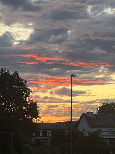 This is a landscape photograph taken at sunset in Denderleeuw, Belgium. The sky is filled with dramatic clouds, painted in hues of orange, pink, yellow, and gray. A prominent, tall street lamp stands in the mid-ground, its light fixture casting a shadow. In the foreground, the silhouette of a large tree is visible on the left, and to the right, the rooftops of several buildings, some adorned with solar panels, are discernible. The lower portion of the image is dominated by dark foliage and the indistinct shapes of fences and ground cover.