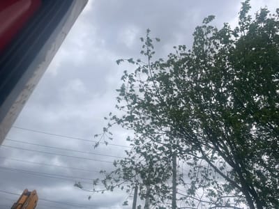 A low-angle shot shows foliage of a tree with light-colored leaves against a cloudy sky in an unspecified location. Power lines are visible. A yellow mechanical arm or boom is partially visible at the top right. The edge of a gray and red object is present at the bottom right of the frame.