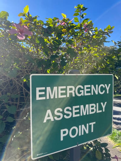 A bright, sunny day in Bellingen, Australia, features a green rectangular sign with white text reading "EMERGENCY ASSEMBLY POINT". The sign is positioned at eye level and partially obscured by the branches of a lush green bush with large pink hibiscus flowers. The background shows a clear blue sky, a paved road on the right, and more greenery. The lower left corner of the sign displays "BRADY AUSTRALIA" along with a small logo, and on the right edge, a number "832491" is visible. A faint rainbow-like lens flare extends from the lower left across the sign.