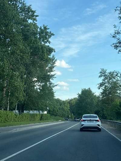 The image captures a daytime scene on an asphalt road in Krasnaya Zarya, Russia. A white Kia sedan, viewed from the rear, occupies the right lane, with its brake lights illuminated red. The vehicle's license plate displays "94 952 ALW". The road ahead shows a dashed white line separating lanes and a solid white line marking the right edge of the current lane. In the midground, other vehicles are visible, including a dark-colored car turning left.
The road is bordered by dense green foliage. On the left, a concrete curb separates the road from a paved shoulder, followed by a neatly trimmed green hedge. Behind the hedge, white-barked trees and a white fence are partially visible, with more dense trees beyond. On the right, a metal guardrail runs alongside the road, beyond which are numerous green trees and brush. The sky is clear light blue with scattered white cumulus clouds. No individuals are discernible in the scene.