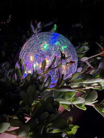 A cracked glass sphere illuminated by colorful LED lights sits amidst green succulent plants. The sphere is centrally located in the image, with the plants surrounding it. The background is dark, suggesting it is nighttime. The scene is likely in a garden or outdoor setting. The location of Uhornyky, Ukraine is not evident in the image.