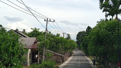 The image depicts a rural road lined with lush green trees and vegetation in Jurong Mesjid, Indonesia. The road stretches into the distance, with a single person walking on the right side of the road and a motorcycle visible further ahead. Overhead, electrical wires crisscross the sky, supported by utility poles. On the left side of the road, a house with a metal roof is partially visible, surrounded by foliage. The sky is partly cloudy, suggesting it might be a warm day. The overall scene conveys a sense of everyday life in a tropical village setting.