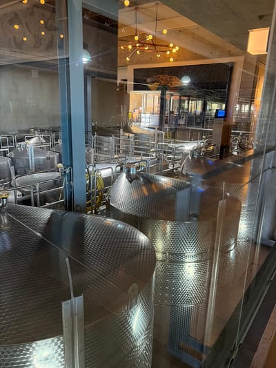 The image depicts rows of stainless steel tanks, presumably inside a wine production facility, due to the context of Stellenbosch, South Africa, being a notable wine region. The tanks are large, cylindrical, and feature a textured surface. They are interconnected with a network of stainless steel pipes and support structures. The background shows a view into another area with a chandelier-style light fixture, hinting at a modern, possibly architectural aesthetic. The scene is viewed through a glass panel, introducing reflections and distortions into the image. There are no people visible.