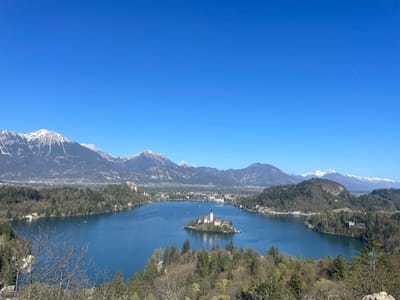 A wide shot depicts Lake Bled in Bled, Slovenia under a clear blue sky. In the foreground, a partially visible treeline frames the bottom of the view. The calm, blue waters of Lake Bled fill the lower half of the image. Centrally located on the lake is Bled Island, with its iconic church featuring a tall steeple. Surrounding the lake is a town, featuring buildings visible along the shoreline. Behind the town, a range of mountains with snow-capped peaks stands in the distance. The entire scene is bathed in bright sunlight.