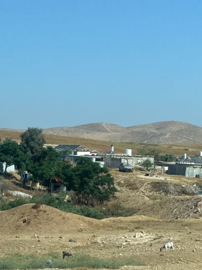 The image depicts a rural landscape in the city of Al-Qasoum Regional Council, Israel. There are buildings with solar panels on rooftops situated at the base of a mountain. The vegetation consists of trees and dry grassy terrain. A white goat is visible on the hillside. The sky is clear and blue.