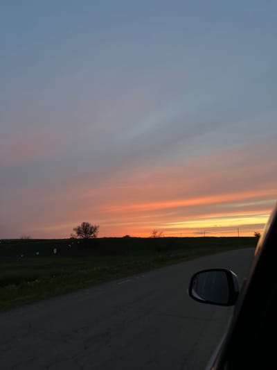 The image captures a serene rural landscape in Alexandrovka, Russia, viewed from a car during either sunset or sunrise. The sky dominates the upper and central parts of the frame, displaying a vibrant gradient of colors. Starting from a soft blue-grey on the left, it transitions through delicate shades of lavender, pink, and orange, culminating in brilliant streaks of yellow and gold near the horizon line on the right. These luminous bands of color suggest the sun's position just below the visible horizon, casting a warm glow across the atmosphere.
Below the expansive sky, the silhouette of a dark green landscape stretches across the horizon. A prominent, leafless tree stands out against the colorful sky, its intricate branches silhouetted. Further along the horizon, several dark, slender structures, possibly utility poles, are visible. White, scattered objects, which appear to be plastic bags or debris, are sparsely distributed in the field near the trees and poles.
A dark asphalt road occupies the bottom-right portion of the image, curving gently into the distance. In the immediate right foreground, the black side mirror of the vehicle from which the photo was taken is clearly visible, reflecting a dark and indistinct view. A part of the car's dark frame or door is also seen along the very right edge. The scene conveys a sense of peaceful travel through an open, unpopulated area during the golden hour. No people or visible text are present in the image.