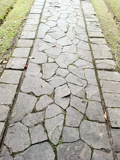 A stone pathway is framed by rectangular blocks on either side, bordering grass. The pathway itself is constructed from irregular stone slabs, arranged to fit together. Gaps between the stones are visible, some containing small patches of green moss or weeds. A few scattered leaves lay on the stones. The path extends into the distance, slightly out of focus, with the sides gradually converging.