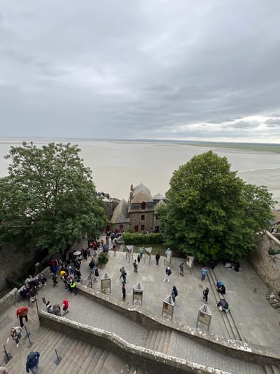 This is an aerial view of the Mont-Saint-Michel in Normandy, France, taken from a high vantage point looking down onto a stone courtyard and the surrounding buildings and landscape. The sky is overcast, with grey clouds covering the upper portion of the image. In the distance, a vast expanse of tidal flats stretches out to meet the horizon, with the water appearing murky and reflecting the overcast sky.

In the foreground and midground, stone structures and walkways are visible. A large, lush green tree dominates the left side of the image, its dense foliage reaching towards the sky. To its right, another smaller tree with green leaves is situated near the stone buildings. The buildings themselves appear to be constructed of stone with grey, pitched roofs, and some have red-trimmed windows.

A number of people are dispersed throughout the courtyard and on the steps leading down from the vantage point. They are dressed in casual clothing, and some appear to be standing in groups, while others are walking or sitting. Several individuals are holding umbrellas, suggesting it might be raining or has recently rained. There are informational displays set up on metal stands in the courtyard, each with a panel that is likely displaying information or images. The stone paving of the courtyard is visible, with some areas having a herringbone pattern. The overall scene depicts a popular tourist location on a cloudy day, with people exploring the historical site and enjoying the views of the surrounding bay.