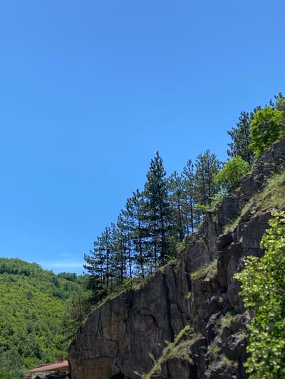 This is a photograph taken from a low angle, looking up at a steep, rocky cliff face. The cliff is covered in sparse vegetation and grass. Above the cliff, a row of tall pine trees lines the crest. Beyond the cliff and to the left, a lush, green, forested hillside rises steeply under a clear blue sky. In the lower left corner of the image, a portion of a building with a red-tiled roof is visible. The scene depicts a natural landscape with a man-made structure integrated into it, likely located in a mountainous or hilly region.