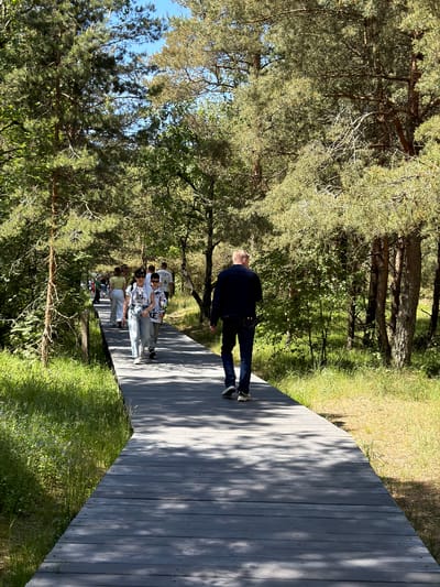 The image shows a wooden boardwalk winding through a pine forest. Several people are walking on the boardwalk in the same direction. The boardwalk is made of grey wooden planks and is illuminated by dappled sunlight filtering through the trees. The surrounding vegetation is green grass and pine trees with a clear blue sky overhead. This scene is located in the city of Morskoe, Russia, likely in an area known for its natural beauty and walking trails.