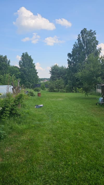 The image depicts a spacious, green lawn in the city of Nemėžis, Lithuania, under a clear blue sky dotted with white cumulus clouds. In the foreground, the grass is lush and somewhat overgrown, with scattered small white wildflowers. On the left side of the frame, partially obscured by foliage, is a white greenhouse structure. Adjacent to it, a gnarled tree trunk stands. In the middle ground, a rusted metal barrel rests on the lawn, with a few items of clothing, a dark blanket and a pink garment, lying nearby. A green hose is visible on the grass. A line of dark fencing runs across the mid-background, separating the property from what appears to be a residential area with houses visible in the distance. Tall deciduous and coniferous trees form a dense border around the property, with a few more scattered within the grounds. On the far right, a small shed is visible, and a green gardening cart with a wheelbarrow is parked next to it. The overall impression is of a rural or suburban backyard setting on a sunny day.
