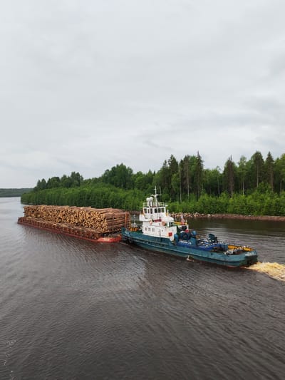 An aerial shot captures a tugboat towing a barge laden with logs down a wide, dark river. The barge is a flat, red structure piled high with roughly cut, light-brown logs. Attached to the rear of the barge is a teal and white tugboat. The tugboat is propelling forward, creating a churning wake of foamy, yellowish water. The river is flanked by a dense forest of green trees, with a patch of lighter green vegetation in the foreground on the right bank. The sky above is overcast with a uniform gray hue. The scene depicts commercial transport of lumber along a waterway in Uzhla, Russia.