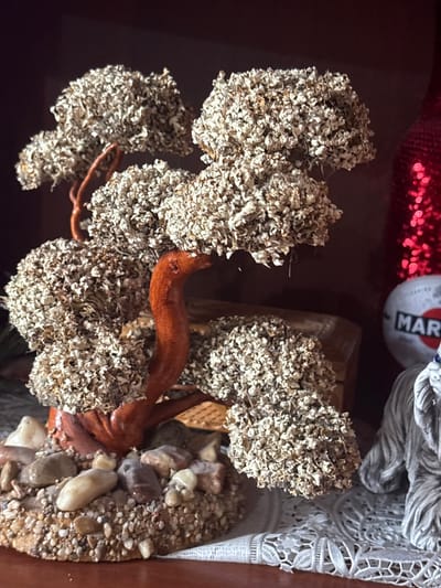 The image shows a decorative miniature tree made of dried plant material, resembling a bonsai. The tree has a reddish-brown trunk and branches, with clusters of light-colored, textured foliage. It is planted in a base adorned with small stones and pebbles. To the right of the tree, a portion of a white ceramic object with a red and blue logo that appears to say "MARTINI" is visible, along with a blurred red, sequined object. Further to the right, a grey, fuzzy object, possibly a statue or figurine, with textured hair-like material is present. The scene appears to be set on a white lace doily, with a dark wooden shelf or surface in the background. There is no information available to determine the location of Sovkhoza "Razdol'e", Russia.