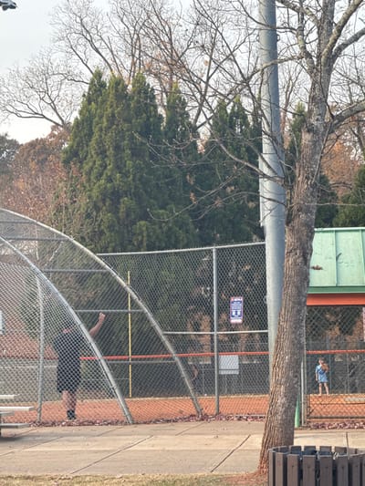 A fenced-in baseball field is partially obscured by a tree. A man wearing black is seen through the fence, reaching over it. Behind the fence, there are green trees and a green shed-like structure with an orange stripe. A sign is attached to the fence. A paved sidewalk runs alongside the fence. A bench sits to the side of the sidewalk. Another person is seen through the fence in the distance.