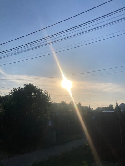 This image displays an outdoor scene in Novoaleksandrovo, Russia, under a predominantly clear blue sky with scattered wispy clouds. The sun is a dominant, intensely bright light source positioned in the upper-middle left quadrant, producing a prominent vertical lens flare that extends downwards. Seven distinct, dark utility lines are strung horizontally across the upper third of the frame. The lower portion of the scene is cast in deep shadow, revealing a dense, dark green tree or large bush on the left, and a series of dark, low-lying structures, likely fences or buildings, along the horizon on the right. A narrow, unpaved path is visible in the bottom-left. No human subjects or discernible actions are depicted.