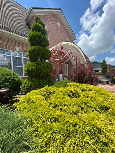 The image shows a sunny day in the city of Agronom, Russia, with a clear blue sky dotted with fluffy white clouds. The foreground is dominated by lush green and yellow foliage of various bushes and shrubs, with the bright yellow ones particularly prominent. Behind the foliage, a red brick house with a dark gray, tiled roof is visible. A white awning extends from the house over the entrance, adorned with red and white beaded garlands. A tall, conical evergreen tree stands to the left of the entrance, with a shorter, bushier evergreen to its left. To the right of the entrance, a dark red shrub is in bloom, and further to the right, a wooden bench is placed on a paved area. The overall scene suggests a well-maintained outdoor space, possibly a residential property or a garden.