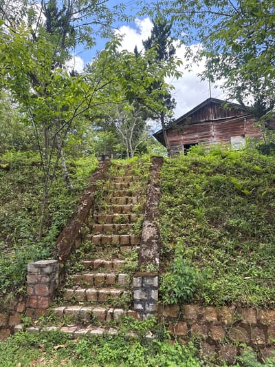 The image depicts a stone stairway overgrown with vegetation. The steps are made of rectangular blocks of stone and appear aged, with moss and plants growing between the cracks. To the left of the stairs, a grassy hill slopes upward. Above the hill, a wooden structure with a dark roof is visible. Trees with green foliage are present on the left side of the frame, reaching towards a sky with clouds. The location is Păng Tiêng 1, Vietnam.
