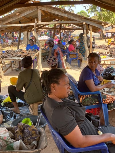 The image captures a vibrant open-air market scene in the city of Nev, Nigeria, under bright daylight. Numerous individuals, primarily adults, are visible within and around a series of rudimentary market stalls constructed from rough wooden poles and simple sheet metal or plank roofs, providing shade. The ground appears to be dry, unpaved earth.

In the foreground, three women are seated. On the right, a woman with dreadlocks, wearing a black short-sleeved top, is seen in profile, seated on a blue plastic chair, facing towards the right side of the frame. Her hands rest calmly in her lap. Immediately to her left, another woman with dreadlocks, wearing a blue short-sleeved top and a patterned skirt, sits on a blue plastic chair, facing left, actively manipulating items in her lap. Further to the left, a third woman is shown from behind, seated on a low wooden stool. She wears an olive-green short-sleeved top, black leggings, and has her hair tied back. A yellow plastic bucket and her bare feet are visible near her. In front of her, a black basin contains folded patterned fabric and other market goods.

In the midground, a man in a blue short-sleeved shirt sits behind a wooden table piled with large quantities of dark, possibly dried or smoked, food items. A man wearing a striped long-sleeved shirt and a dark cap stands nearby, facing left, with a wheelbarrow visible to his right. Other market participants are scattered throughout the background, some seated on blue plastic chairs, others standing, engaging in various market activities, including selling goods and conversing. The overall scene depicts a bustling commercial environment with basic infrastructure.
