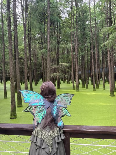 In the city of Lin'an District, China, a person wearing a fairy costume with large, iridescent wings is standing on a wooden observation deck, looking out at a flooded forest. The forest floor is covered in a thick, vibrant green carpet of duckweed, with tall, slender trees rising out of the water. The person's back is to the camera, revealing a detailed costume with ruffled fabric and lace accents. The observation deck has a wooden railing and a netted barrier below. The environment suggests a unique natural landscape with an elevated viewpoint for visitors.