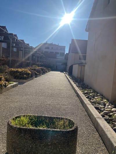 The image displays a sunlit pedestrian pathway in Le Puy-en-Velay, France. In the immediate foreground, a weathered, oval-shaped concrete planter contains vibrant green grass. The path itself is paved with a light-colored, aggregate material, extending into the distance and exhibiting significant glare and reflection from direct sunlight. To the left, the path is bordered by raised concrete planters holding various shrubs, some with yellowish-green leaves and others with bare, brown branches. Behind these planters, a row of buildings with horizontal wooden siding features overhead wooden trellis structures. To the right, a concrete curb separates the pathway from a narrow strip filled with rounded, light-colored stones, among which sparse green grass grows. Beyond this stone bed, a tall, smooth, light beige-colored building wall runs parallel to the path. In the mid-distance, the path narrows towards an opening or passage between buildings. Further background shows multi-story buildings under a clear, bright blue sky. A prominent sunburst effect emanates from the upper center of the frame, indicating a high sun position. No individuals are visible in the scene.