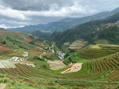 The image presents an expansive, elevated view of terraced agricultural fields integrated into a mountainous landscape in Dế Xu Phình, Vietnam. The sky above is entirely overcast with a dense, uniform layer of dark gray clouds.

The terrain features numerous undulating hills and mountains covered in dense, dark green forestation, receding into the background. The foreground and midground are dominated by an intricate system of tiered rice paddies. These terraces display varied conditions: some are flooded with standing water, appearing pale and reflective; others are cultivated with vibrant green crops, indicative of young plants; and many consist of reddish-brown, tilled earth. Scattered across these terraces are several small, isolated huts or shelters with brown roofs.

In a central valley section, a cluster of approximately five buildings with distinct blue roofs is visible alongside a light-colored, winding road. This road navigates through the valley and ascends into the adjacent hillsides. No individuals, animals, or specific actions are discernible within the frame. The overall environment suggests a rural, agricultural setting under cloudy daytime conditions.