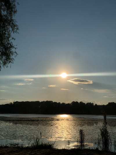 This is a vertical, eye-level, medium shot of a lake at sunset. The sky is a hazy blue, with a bright, hazy sun creating a strong lens flare. The sun is positioned in the left half of the frame, just above the center, casting a bright reflection on the water. The water's surface is textured with ripples and what appear to be lily pads or other aquatic vegetation. A dark line of trees forms the far bank of the lake, silhouetted against the bright sky. In the foreground, on the right side, is a sandy bank with reeds or tall grasses growing along the edge. On the left side of the frame, there is a dark silhouette of leafy branches, possibly from a tree. The overall mood is tranquil and serene, characteristic of a sunset scene. The time of day is evident from the sunset. The location is identified as Pisochyn, Ukraine. There is no visible text in the image.