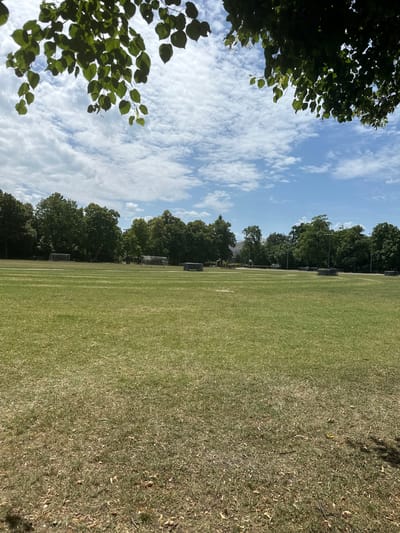 This image depicts a wide, manicured green field, likely a sports field or park, under a bright blue sky dotted with fluffy white clouds. In the foreground, the grass is short and neatly trimmed, with some dry patches and fallen leaves visible. The middle ground features distinct white lines marking the boundaries of the field, and several rows of dark, stacked seating units are positioned across the expanse. In the background, a dense line of mature green trees forms a natural barrier, with glimpses of buildings and streetlights peeking through the foliage. Two soccer goals are visible on the left side of the field. The perspective is from ground level, looking towards the horizon. The overall impression is of an open, recreational space on a clear day. This scene is consistent with the sports fields located in the Vidy area of Lausanne, Switzerland, known for its expansive green areas and athletic facilities along the lake.