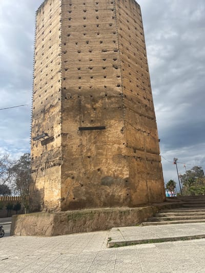 The image depicts a tall, weathered, multi-faceted rectangular tower, likely a pigeon tower, located in Mechouar Fes Jdid, Morocco. The tower, constructed from an earthen material in varying shades of brown and ochre, features numerous small, regularly spaced square or circular openings on its visible faces, characteristic of traditional pigeon lofts. Darker vertical streaks and patches indicate wear and possible moisture exposure. Two horizontal, dark-colored beams or supports project from the lower-mid section of the tower's visible sides, one on the left face and one on the front-right face. Vertical metal reinforcement elements or climbing steps are attached to the corners of the tower, extending upwards.
The tower stands on a low, rough-hewn plinth. The immediate foreground consists of a paved surface with light-colored, patterned tiles. To the right of the tower, a set of wide stone steps ascends upwards. A black streetlamp is visible to the right of the steps. Beyond these steps, scattered palm trees and bare deciduous trees are visible against a cloudy, overcast sky. A section of a low, crenellated wall, consistent with traditional Moroccan architecture, runs along the left side of the frame, behind which more deciduous trees are present. A small portion of a motorcycle is visible on the far left, near the base of this wall. No individuals or direct interactions are visible in the scene.