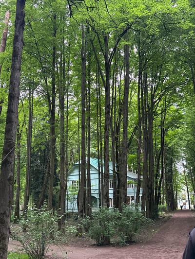 A light blue, two-story wooden house with a green roof is visible through a dense forest of tall, thin trees in the city of DSK "Michurinets", Russia. A red dirt path winds through the trees in the foreground, leading towards the house. Two figures, likely people, can be seen walking away from the camera on the path in the distance, towards another building that is partially obscured by trees. The surrounding environment is lush and green, with dense foliage and fallen leaves on the ground, suggesting a park or natural setting.