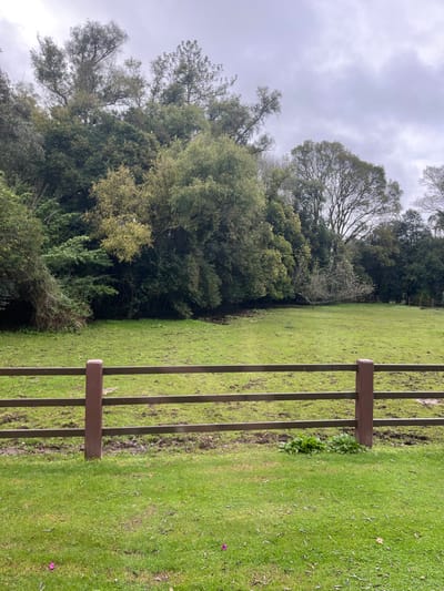 This image presents a rural landscape in Huasca de Ocampo, Mexico, under an overcast sky. The foreground consists of neatly maintained green grass containing minimal scattered purple specks. A dark brown wooden fence, composed of two visible vertical posts and three horizontal rails, bisects the lower mid-ground. Beyond the fence, a large, open green pasture with uneven texture and visible patches of exposed earth extends towards the background. The background is dominated by a dense, multi-layered line of diverse trees, including both deciduous and coniferous types, some exhibiting bare branches. The sky above is uniformly grey and heavily clouded. No individuals, animals, or specific actions are depicted.