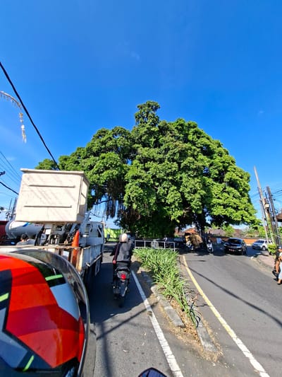 An eye-level, wide-angle outdoor shot captures a street scene in Banjarangkan, Indonesia, on a bright, clear day under a deep blue sky. Dominating the background is a massive, mature tree with a sprawling canopy of vibrant green leaves, its aerial roots dangling down. In the foreground, the perspective is from a motorcycle, with a red, black, and white patterned helmet visible. To the left, a white truck with a large, light-colored rectangular container on its back is parked or moving slowly. A white tanker truck with "PATRA" visible on its side is behind it. A person in a black jacket and helmet is riding a black scooter in the middle of the road, moving away from the camera. Further down the road, a black SUV and a white car are visible, along with other vehicles and pedestrians on the right side of the street. The road has a distinct yellow dividing line and white lane markings. Lush green plants line the median strip. Electrical wires and poles are present on the right side of the image, and a traditional Balinese decorative element hangs from a wire on the left.