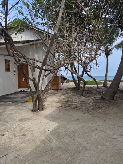 A sideways shot taken outdoors near a beach in Huraa, Maldives, captures a single-story white building with a wooden door. The door is framed by a concrete step and a small, shaded vent near the ground. A tree with a mix of green foliage and bare branches dominates the foreground, partially obscuring the building. In the distance, the beach leads to a calm blue ocean visible through the trees. On the beach, two people are sitting on a wooden bench facing the ocean. The ground in the foreground is covered with light-colored sand.